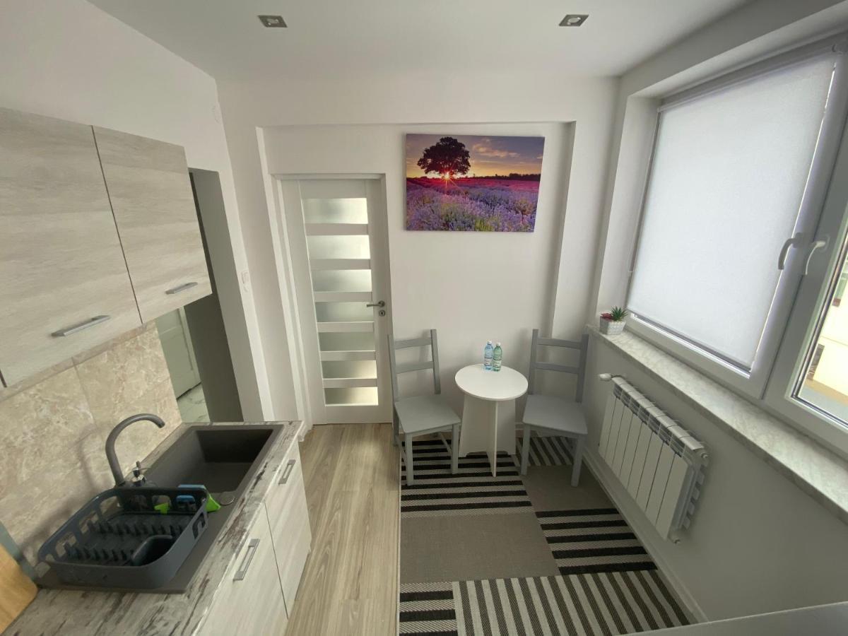 Rymanów-Zdrój Apartamenty Ogrodowa14 מראה חיצוני תמונה